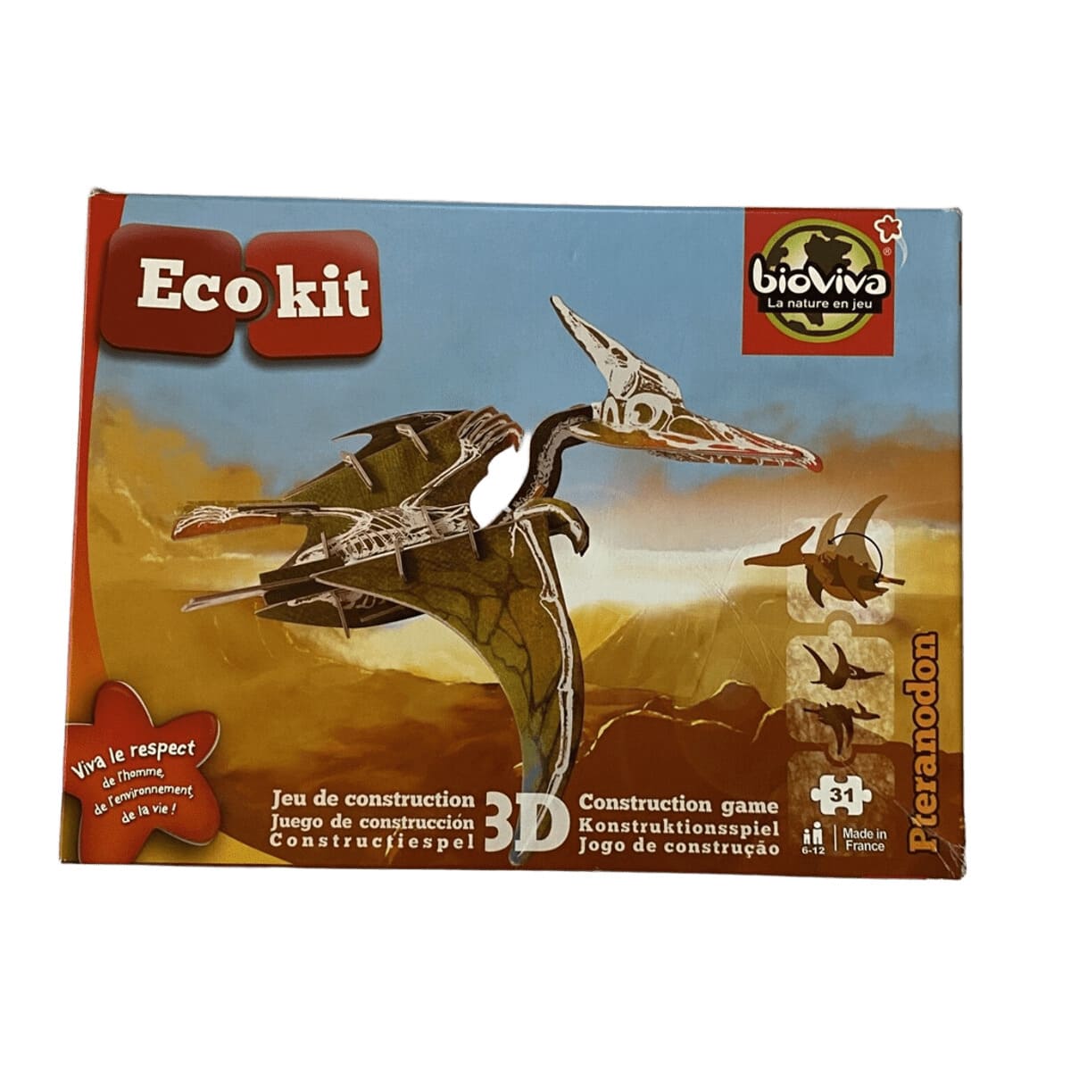 Jeux, Construction dinosaure en carton, 6 à 12 ans